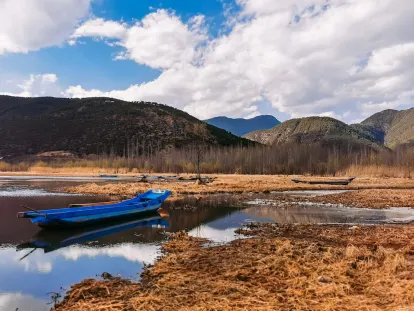 BigWins Casino App Mobile